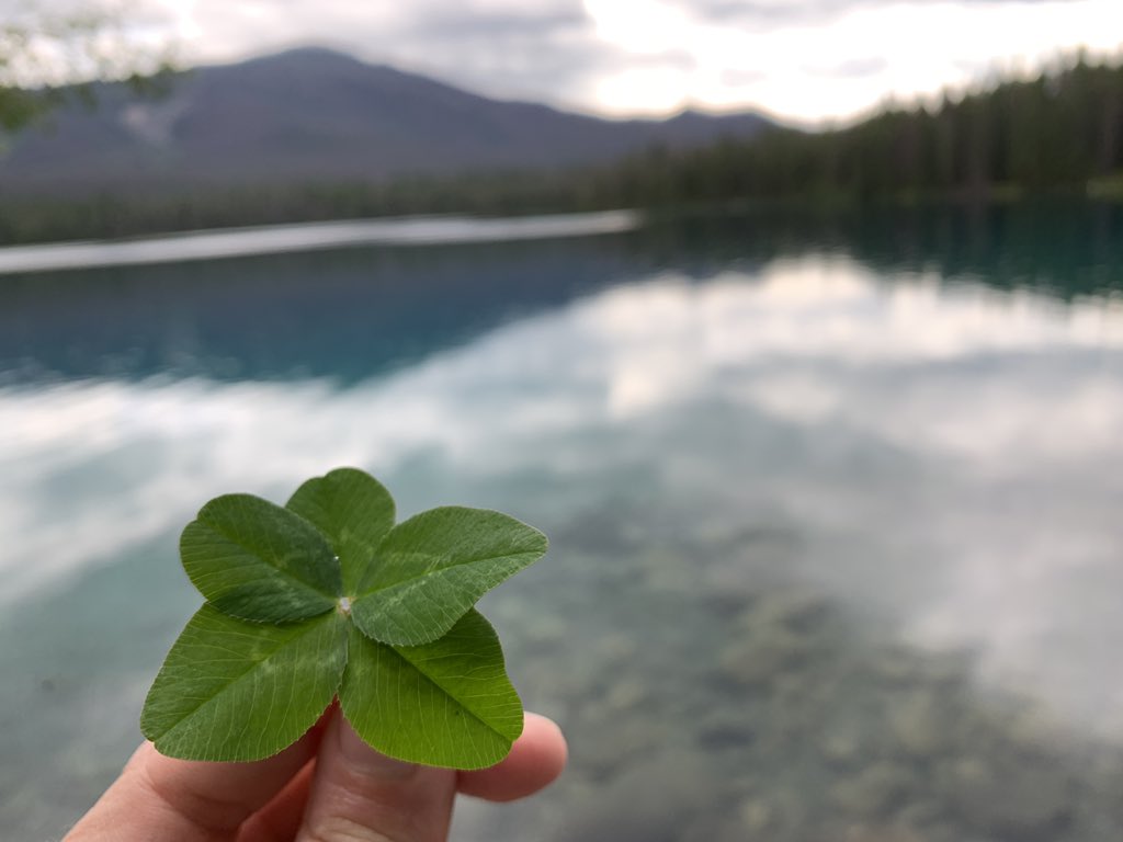 drburns1212's tweet photo. Walked a lot of lakeshore and kept hoping to find a four leaf clover, still havenโt. #ExtraLucky https://t.co/Y91eG0p7Ii