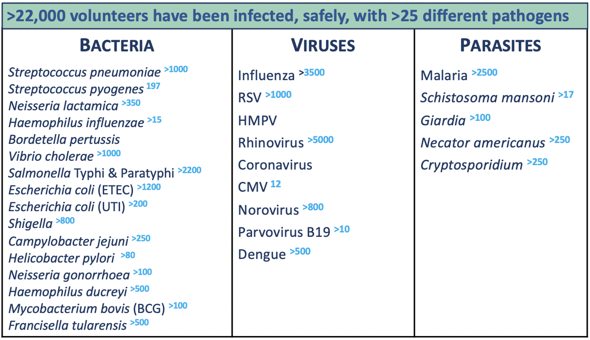 So much comparing in discussing 'rescue therapy' for human challenge trials. You can find a fulminant syndrome in ID textbooks with no simple 'rescue therapy' for most challenge pathogens (approx participant no. in blue). Yet these trials have an excellent safety record.