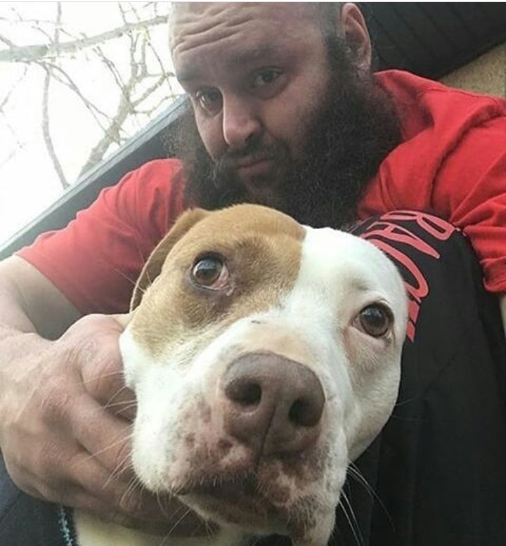 Braunstrow12's tweet photo. My pet https://t.co/mFFXSQFIkH