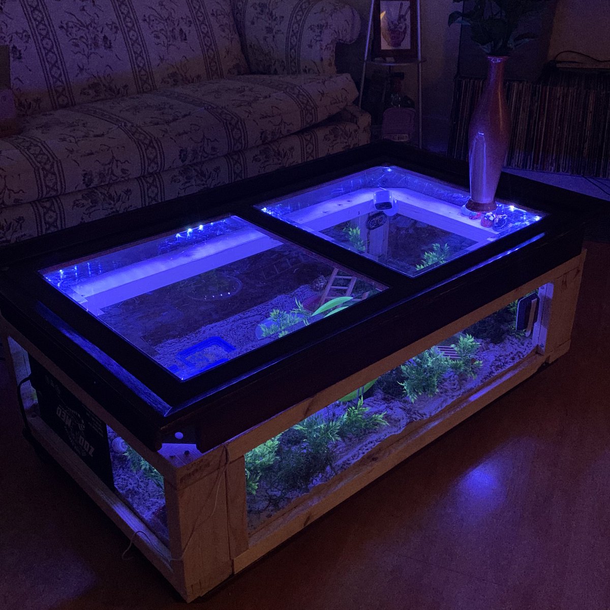 calm_scents's tweet photo. Update: the crabitat lights up https://t.co/gndph6PQDx