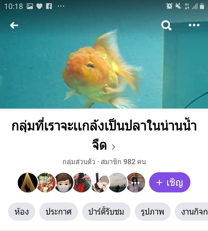จ่อย tweet media