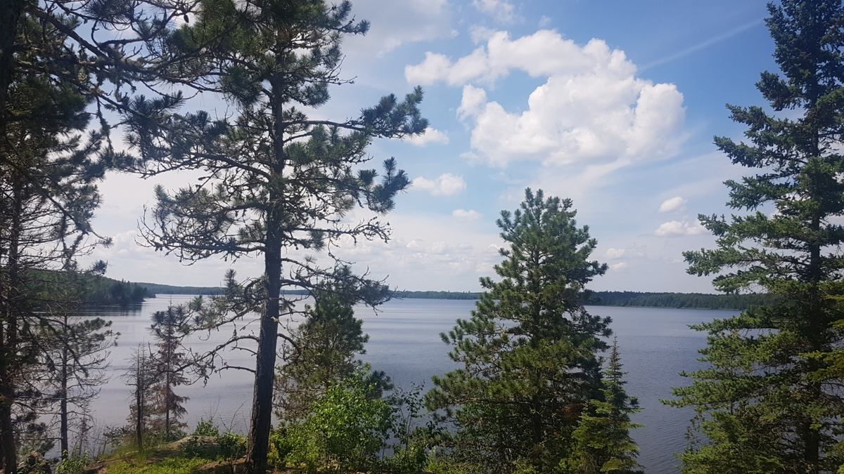 Sioux Lookout will always feel like home to me, as it's where I began to grow into the person I am today. After graduating university in 2009, I moved here and spent nearly 6 years serving clients from across the region as a pharmacist. I found my family here and I found myself.