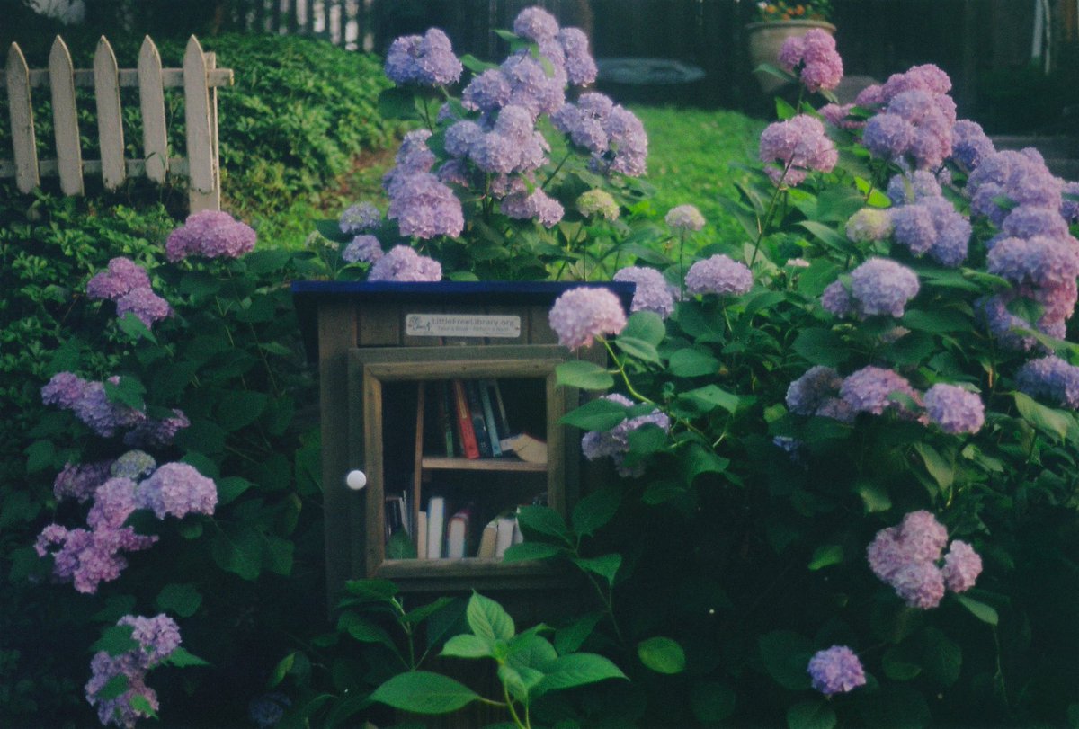 Entreprenigga (I did it all on my own) tweet media