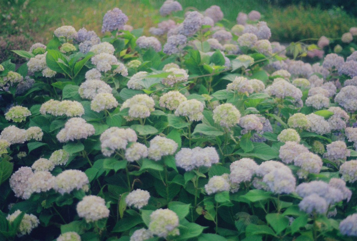 Entreprenigga (I did it all on my own) tweet media