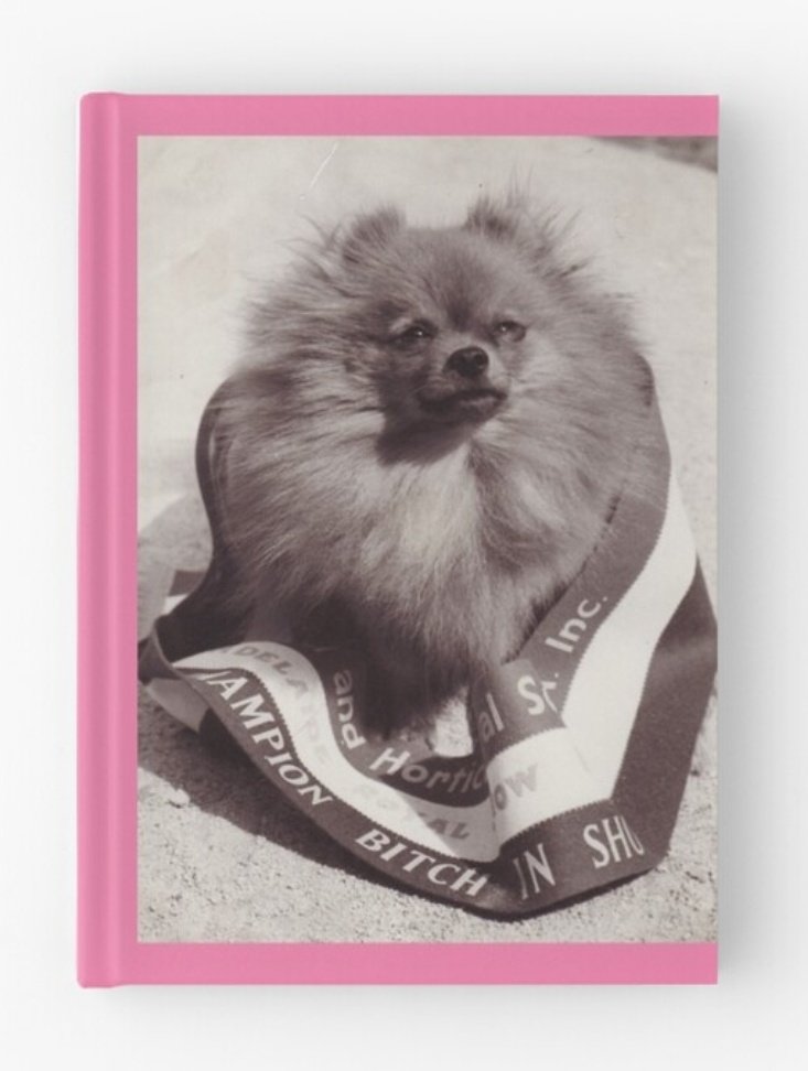librarylaureng's tweet photo. The fierce & fabulous Champion Bitch has just landed @ the @adelaideshow Museum Shop! New woodchop aprons, rocket man leggings & #MassiveUnit Merino Tees also up.
🐏🐶🎡🚀
#AdelShowMemories #AdelShow #RoyalAdelaideShow #Pomeranian https://t.co/muDLI9aig7