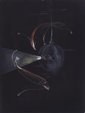 Trey_Explainer's tweet photo. Some of my favorite lesser-known cryptids out there are William Beebe’s “untouchable” fish. In the 1930s, he supposedly saw several bizarre species in the dark from inside his bathysphere. We have still yet to find any physical evidence of these fish beyond his descriptions. https://t.co/MmJznE3EEw