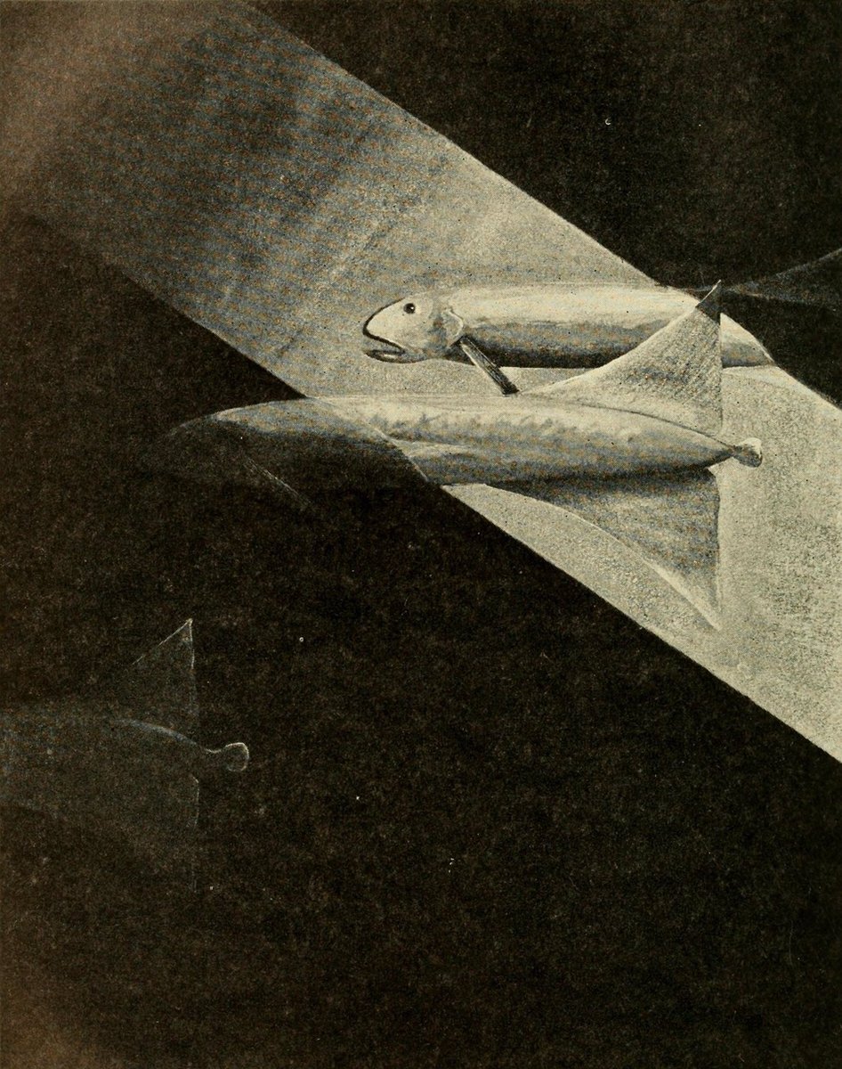 Trey_Explainer's tweet photo. Some of my favorite lesser-known cryptids out there are William Beebe’s “untouchable” fish. In the 1930s, he supposedly saw several bizarre species in the dark from inside his bathysphere. We have still yet to find any physical evidence of these fish beyond his descriptions. https://t.co/MmJznE3EEw
