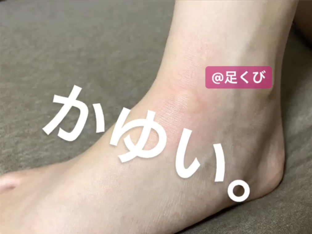 キンカンビッグ100 Kinkanbig100 Twitter