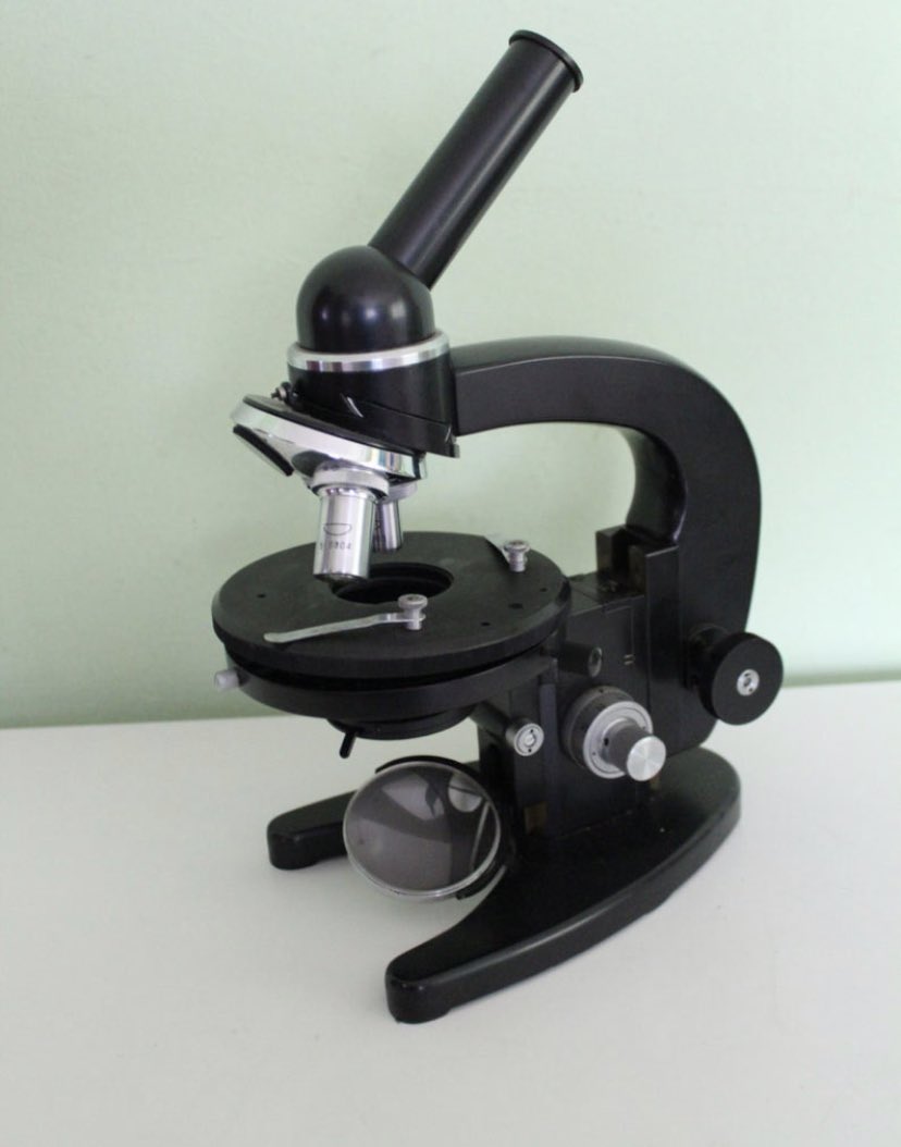 Academician Perceptor