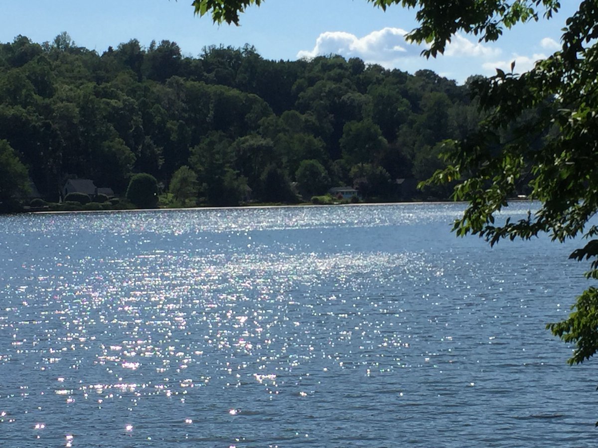 MLIFBOARD's tweet photo. Mamanasco Lake Treatment - WEDNESDAY - July 22 - https://t.co/8Jm6ynlB5S https://t.co/qeqHrhuMDN