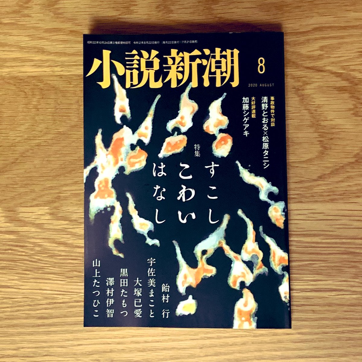 小説新潮8月号発売です。清野とおるさんのマンガや山上たつひこさんの小説、玉城ティナさんのエッセイなどバラエティに富んだ内容の中に『ぼくのお父さん』第4回掲載です。今号の特集のようにある意味「すこしこわいはなし」…全然ちがいますかね笑。よろしくお願いします! 