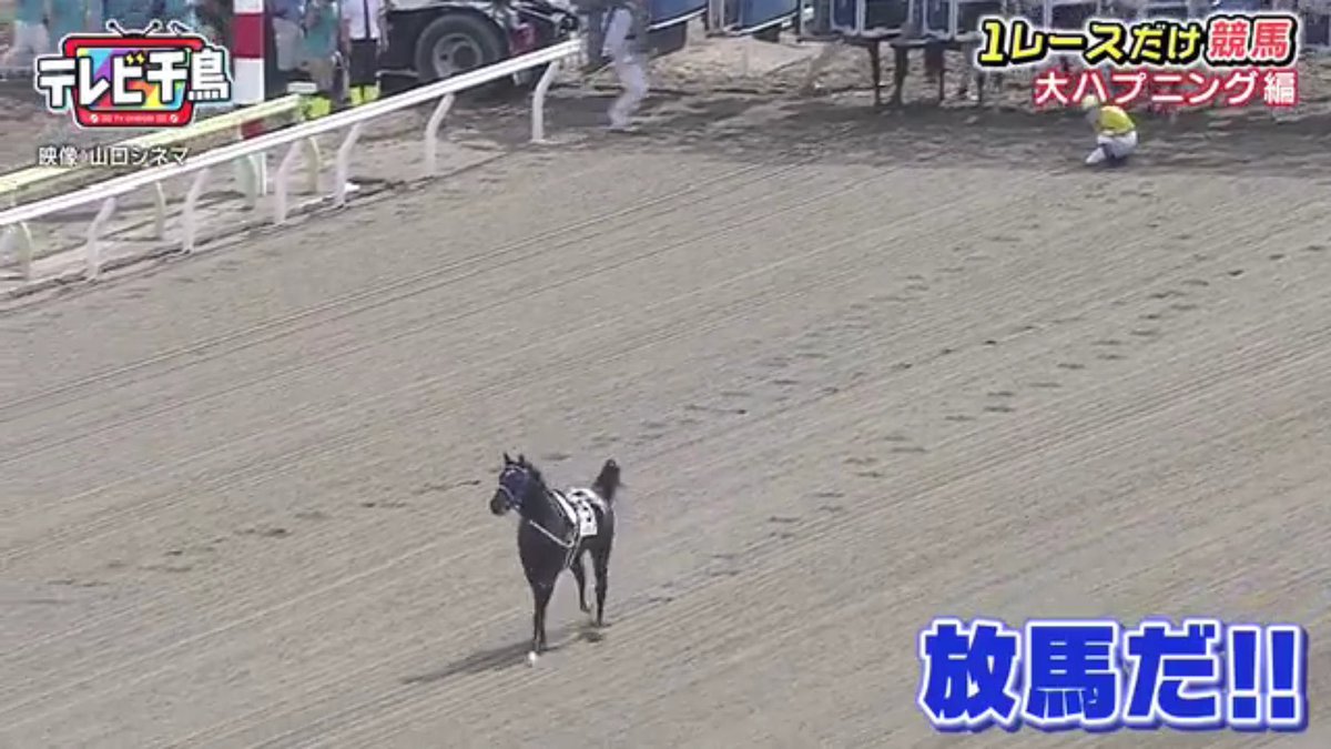 予想してた馬が脱走 正常な判断は 飲酒 で テレビ千鳥 の競馬回が 令和のテレビでやる内容じゃない と語り草になっている Togetter