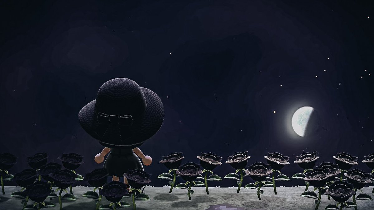 welpthatwasrude's tweet photo. Black roses are a girl's best friend. https://t.co/GF82wrAi1T