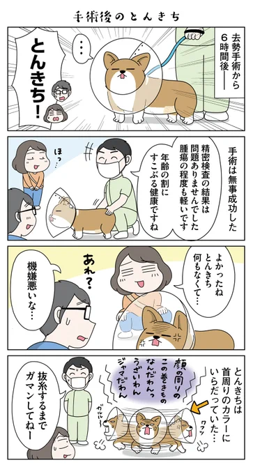 【水曜連載マンガ】とんきちだよ ニコニコ～最終話
「最高のニコニコを君に【後半】」 | 漫画情報マガジン #めちゃマガ by #めちゃコミック https://t.co/2gQ87Oqt29 