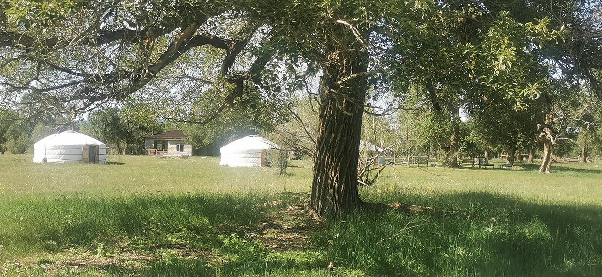 Өглөөний мэнд