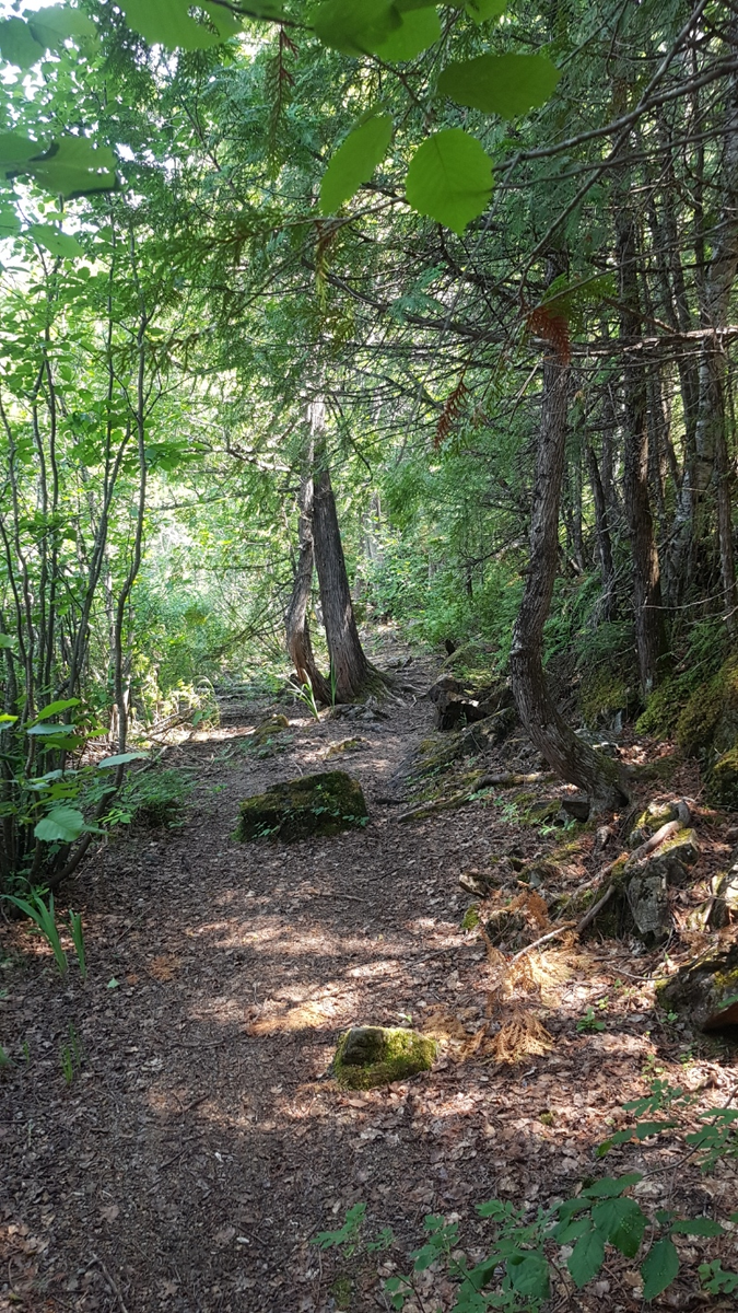And if you need to get away from it all, Cedar Bay Recreation Centre is just minutes away from downtown, with numerous trails for hiking, horse-riding, fat-biking, snowshoeing, cross-country skiing, and snowmobiling.
