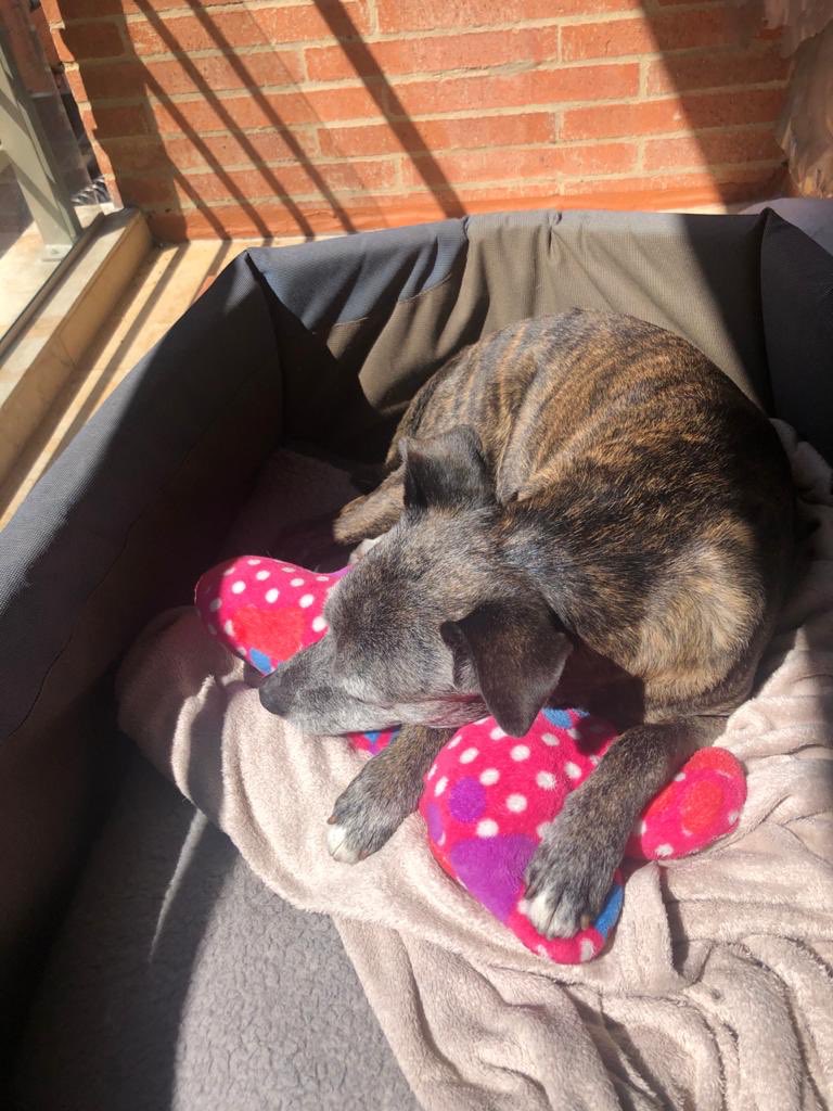 Nato Eche tweet media