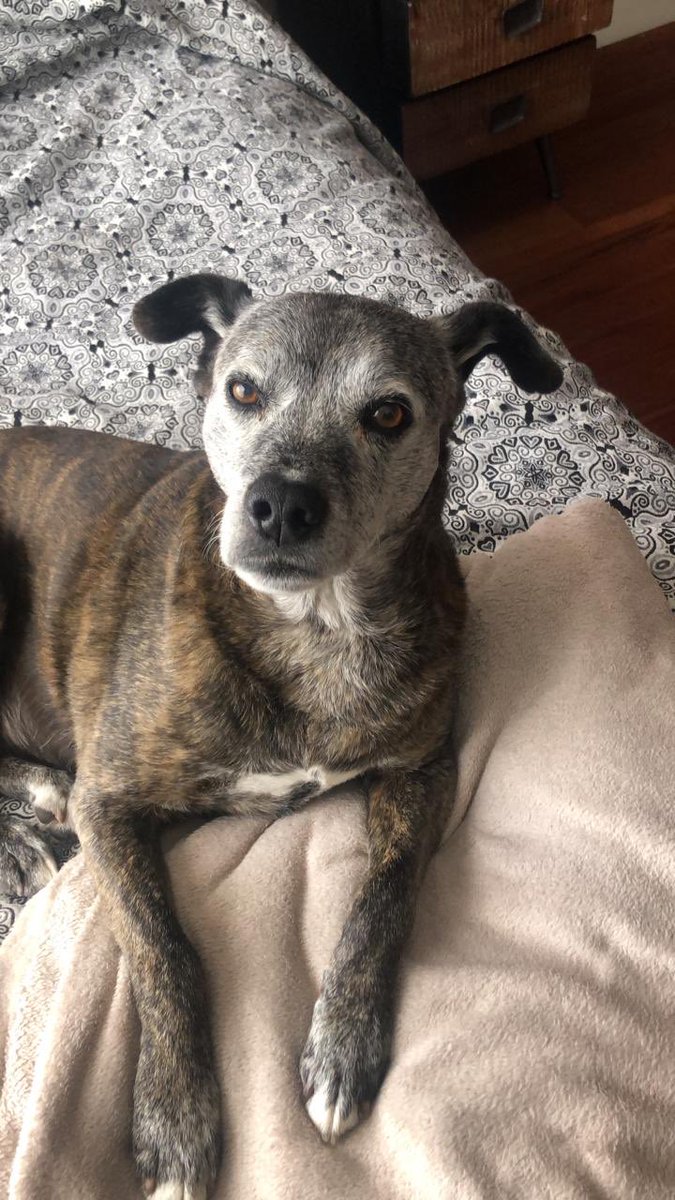 Nato Eche tweet media