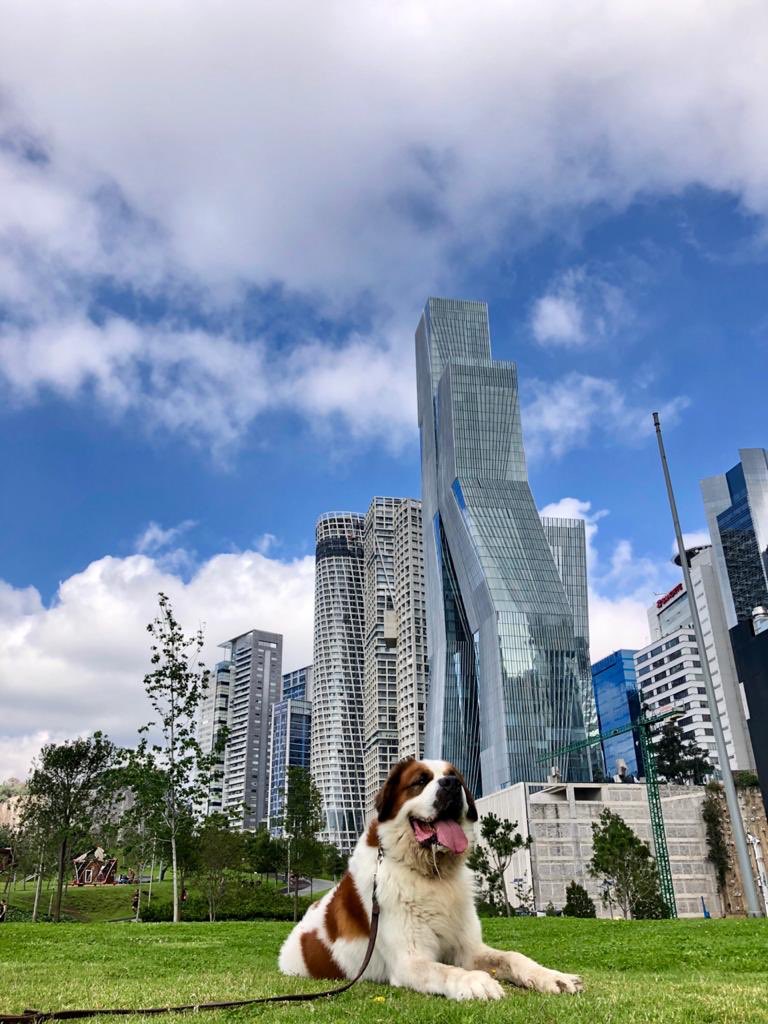 thixtix's tweet photo. @SECTUR_mx @TorrucoTurismo En #parquelamexicana 🙂🐶 https://t.co/FglIkMQ1sa
