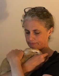 stephgray88's tweet photo. Today's #bubbleofpositivity is brought to you by the letter B and the number 3: Two little bees on my mint flowers and a cuddly wee bun. #dailybee #dailybunny #breathe #keepcalm #stilldoingthistogether #SunnyBunny #bunnylove https://t.co/svoAzqJOPN