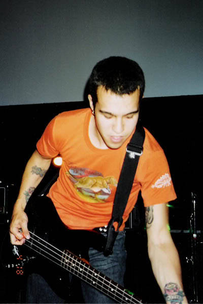 Kerivoula Picta- also known as the painted bat