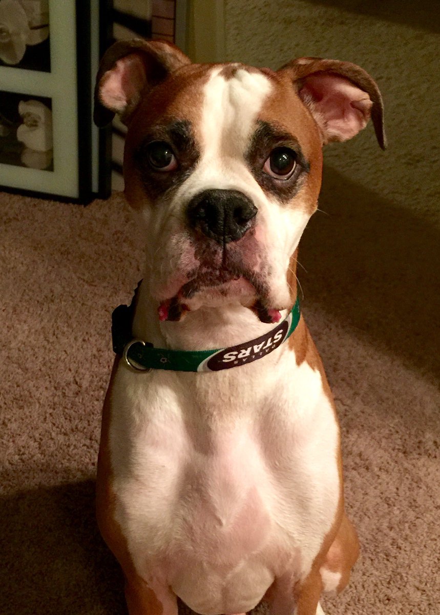 Fitness/Exercise has also gotten me through some of the toughest moments of my life this past year. My best friend of 11.5 yrs left me right before this whole COVID mess. It kept my mind clear after I lost him. Miss you every freaking day, buddy.