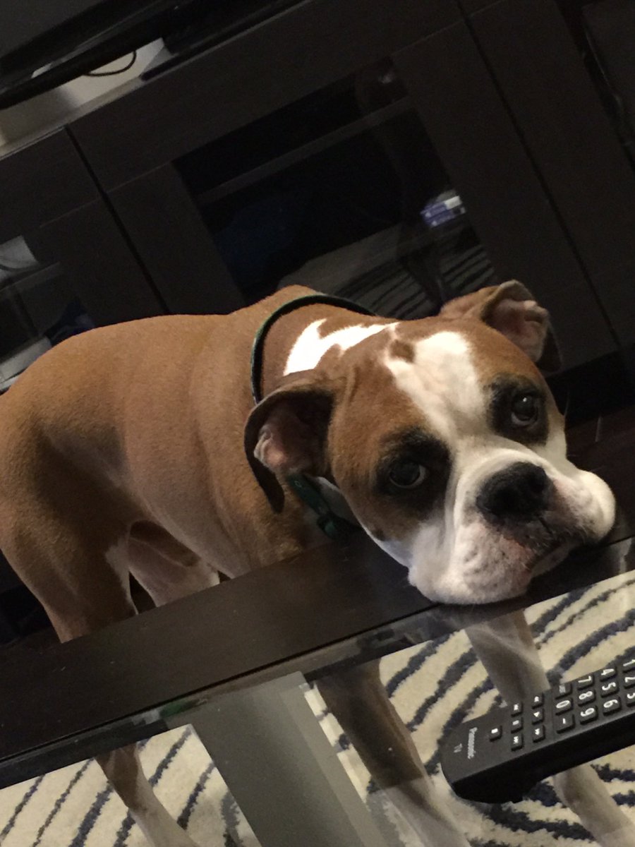 Fitness/Exercise has also gotten me through some of the toughest moments of my life this past year. My best friend of 11.5 yrs left me right before this whole COVID mess. It kept my mind clear after I lost him. Miss you every freaking day, buddy.