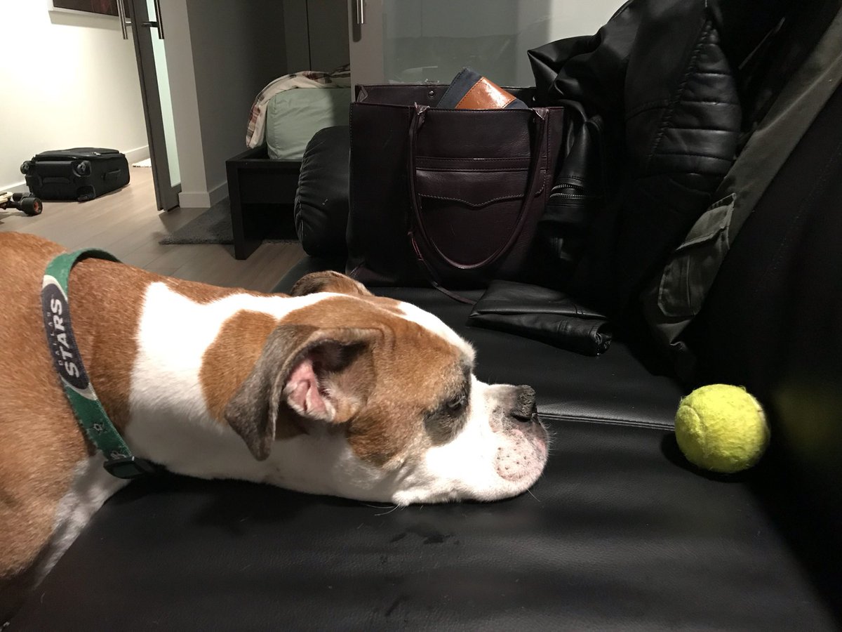 Fitness/Exercise has also gotten me through some of the toughest moments of my life this past year. My best friend of 11.5 yrs left me right before this whole COVID mess. It kept my mind clear after I lost him. Miss you every freaking day, buddy.