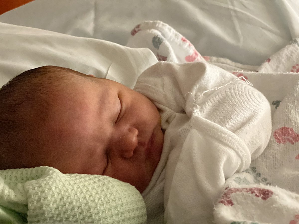 Eloise Elizabeth June Hintze
Born July 17th at 13:35
8lbs 4 oz, 20 inches 
💛💛💛💛