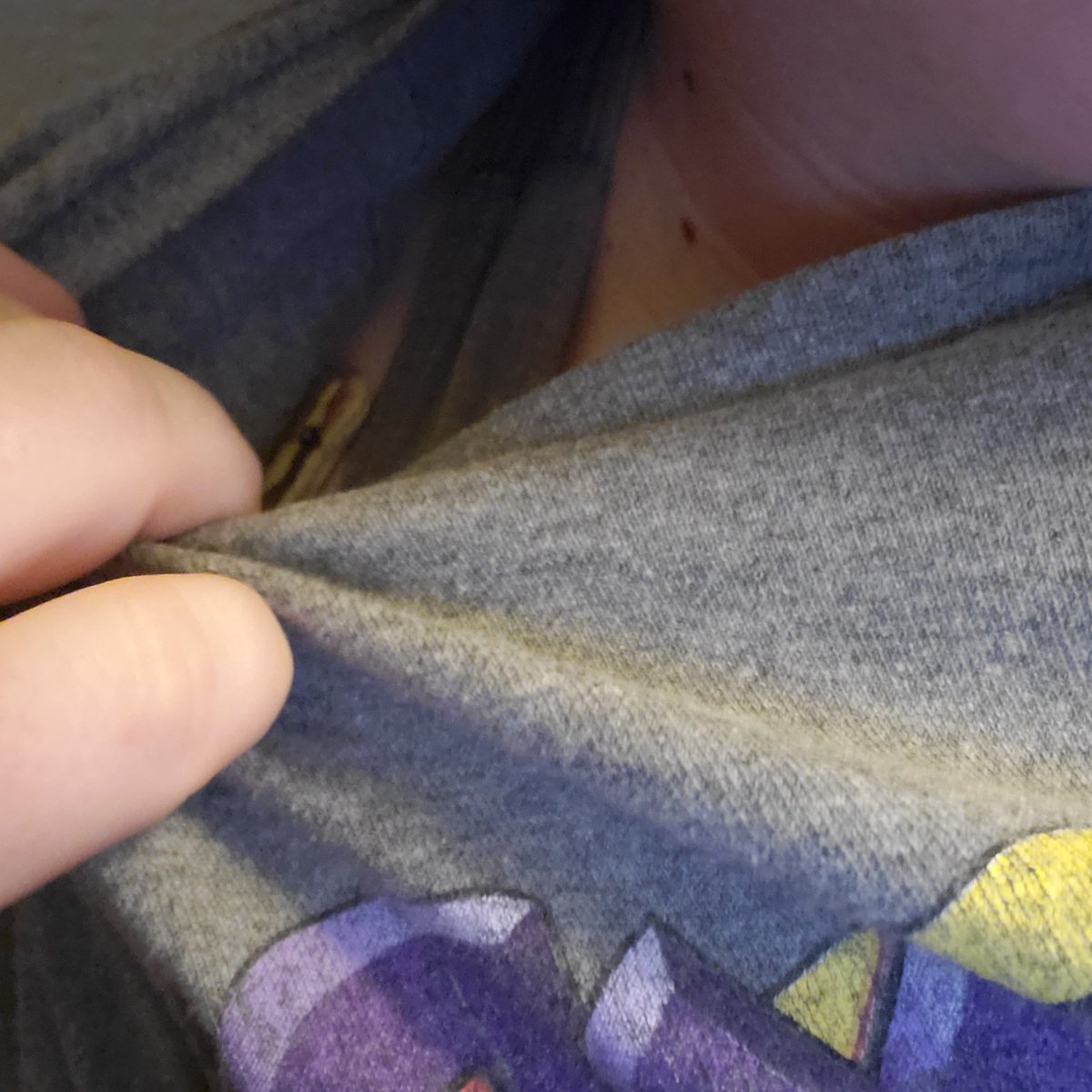 Pythons Galore tweet media