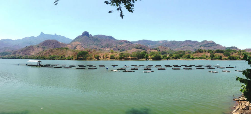 AguaparaTodxs tweet media