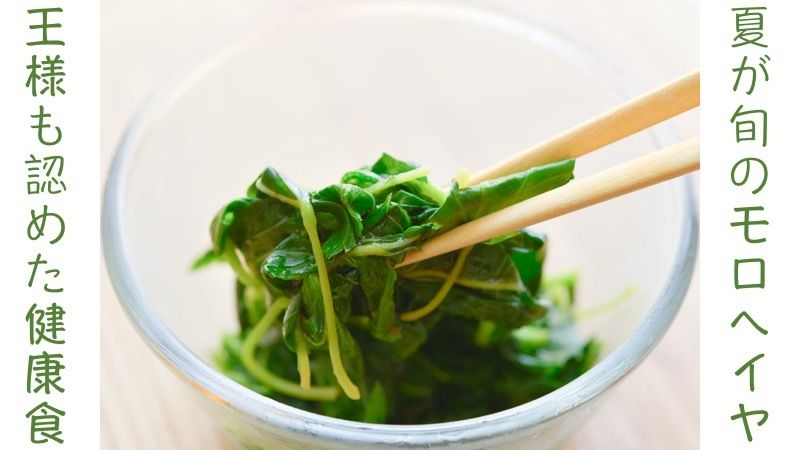 ウェザーニュース 夏が旬のモロヘイヤは アラビア語で 王様だけのもの という意味の野菜 かつてはファラオの病を癒やしたり 美容効果を期待してクレオパトラが好んで食べていたのだとか 実際に 栄養分は野菜の中でもトップクラスで 現代の私たちに