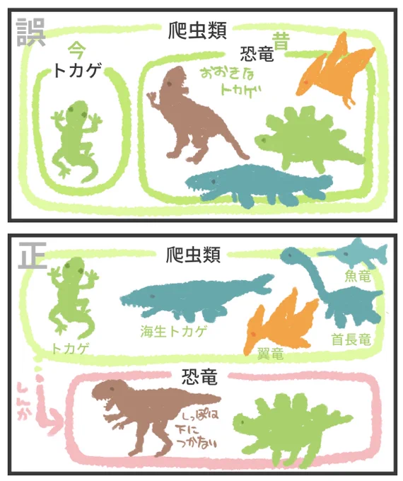 想像してた恐竜の分類が、図鑑見たらけっこう違ってた。
ありがとうMOVE恐竜(https://t.co/26cLZu92Gh)と
MOVE大むかしの生き物(https://t.co/FPrNjksv9O)
恐竜と爬虫類は分類上、分けて考えるんだ…
骨盤の形が決定的に違うんだって。 