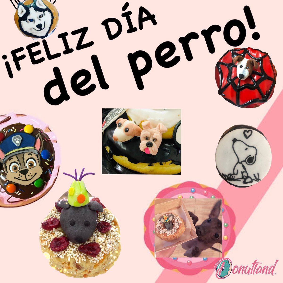 donutlandmx's tweet photo. #felizdiadelperro https://t.co/jxRDMuENza