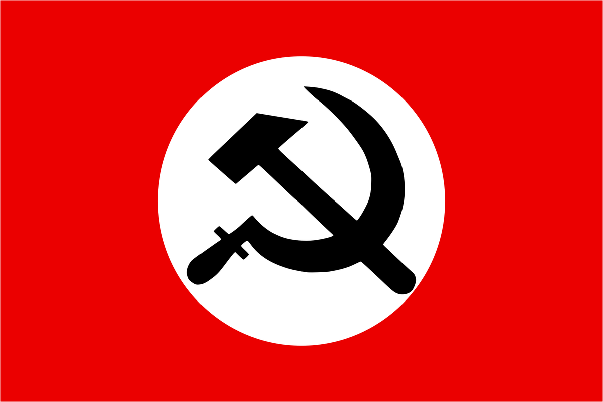 But in all the focus on the book's lurid passages, something far more glaring was completely ignored: the man the authors chose to write the book's foreword. Eduard Limonov was the founder of the Nationalist Bolshevik Party. Can you guess the politics from its flag?