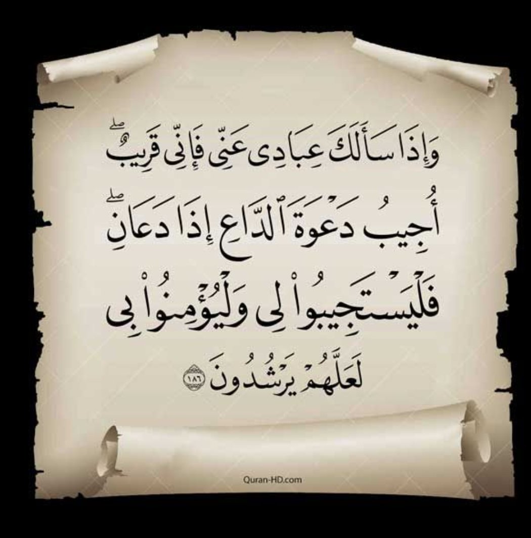 غربة الروح ☕ tweet media