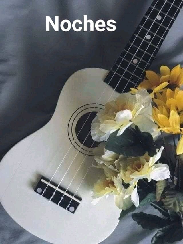 Cingara 18 (@18cingara) on Twitter photo 