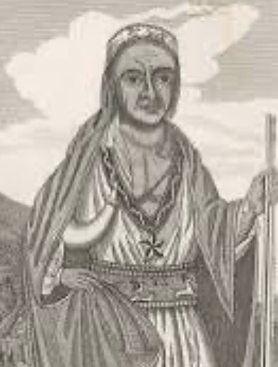 Bf65Brian's tweet photo. Metacom was a Wampanoag Indian, the Son of Massasoit who greeted the Pilgrims and was Also known as King Philip #Americanhistory #kingphilipswar #colonialdays #HistoryMatters https://t.co/QpEAzwGMAm