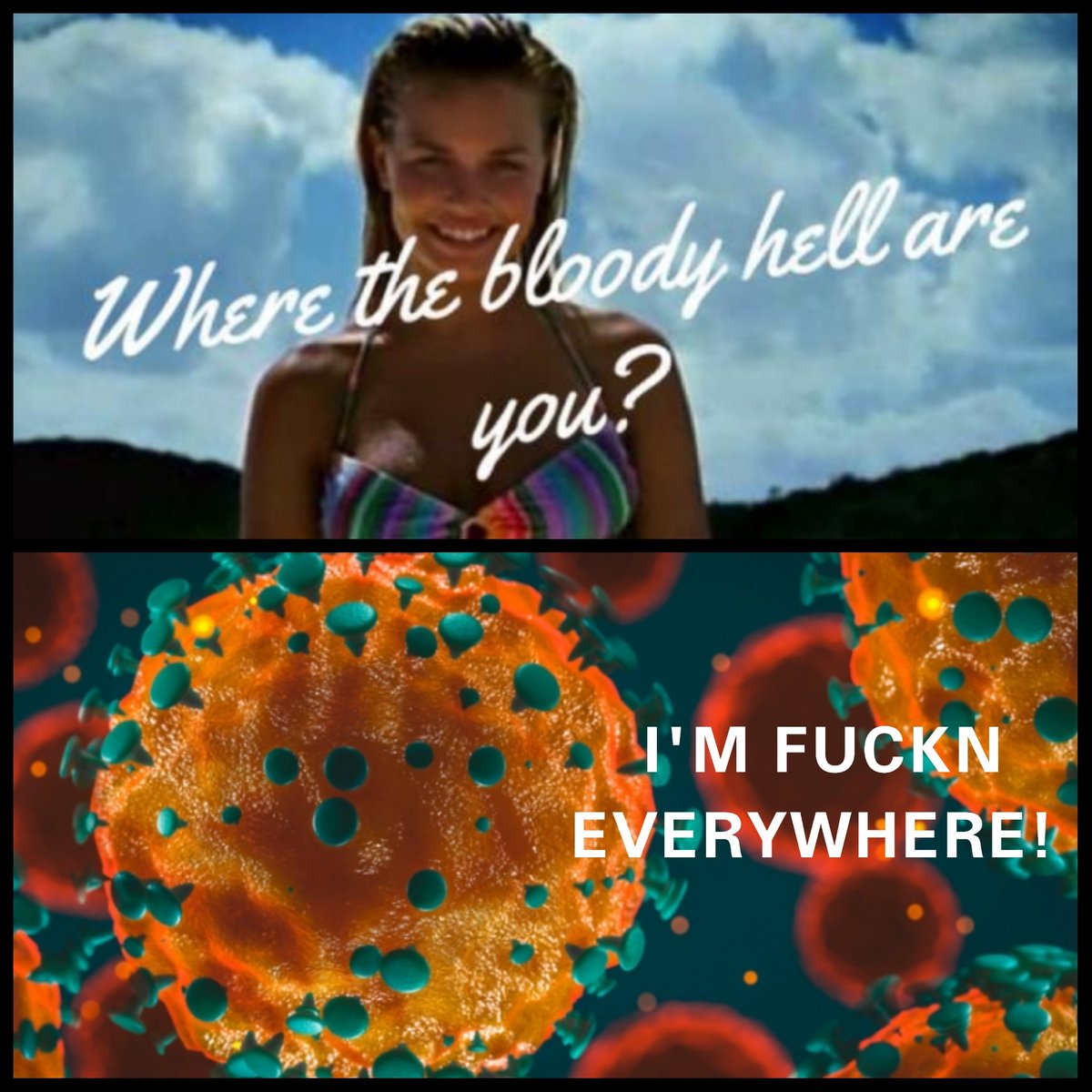 Vaughan King (@vaughanking1) on Twitter photo 