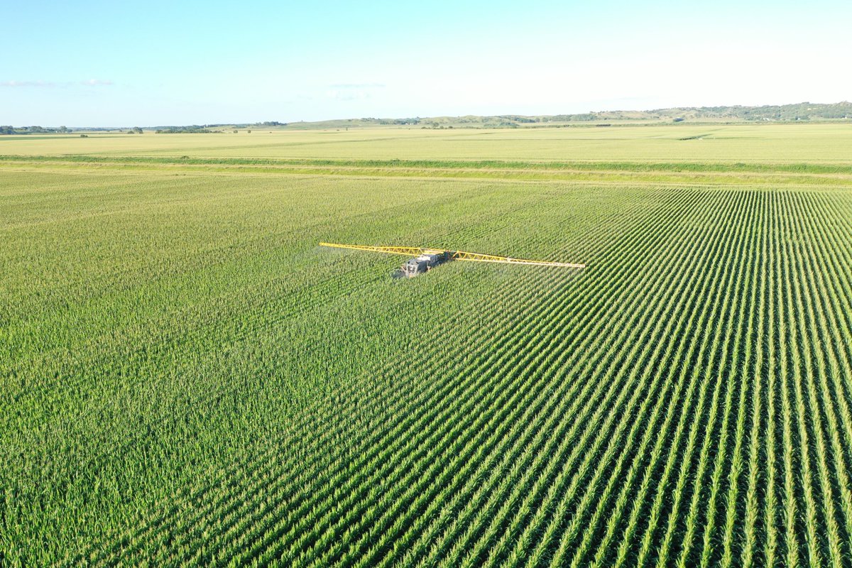 mchlgallagher's tweet photo. Covered a good amount of fungicide acres in corn today! I’m sure ⁦@YellowBaron28⁩ covered more acres but I bet I applied more gallons!! 😉 Gotta give the plane guys a hard time. #groundplane #fungicide #corn https://t.co/9L4EUPklUf
