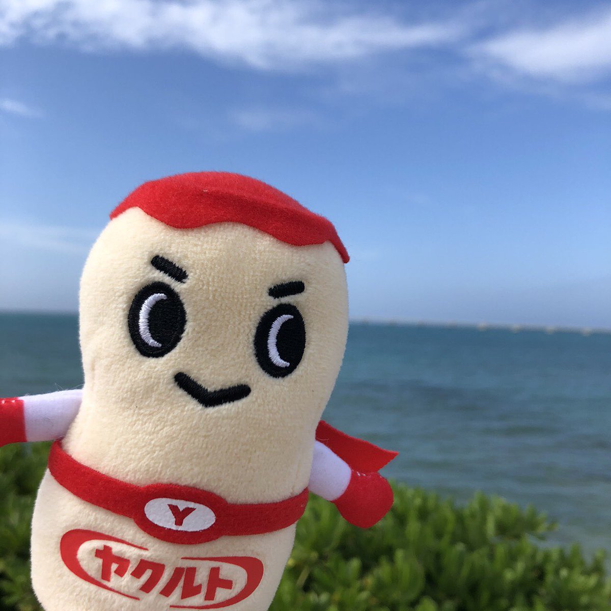 明日は #海の日 海で撮影した1枚をどうぞ！ まぶしいな〜