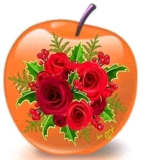 Cingara 18 (@18cingara) on Twitter photo 