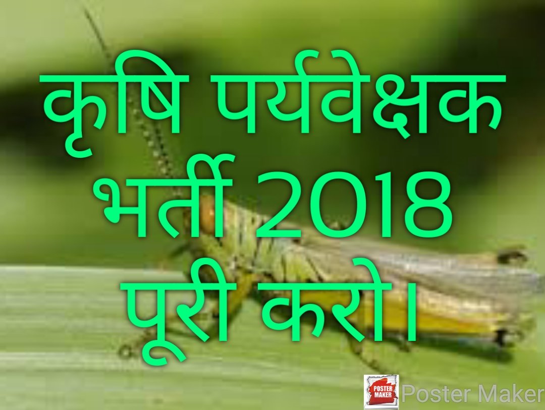 Hansa48484352's tweet photo. #कृषिपर्यवेक्षकभर्ती_प्रथमपुण्यतिथि  rajasthan government joining do https://t.co/casRnF5l9D