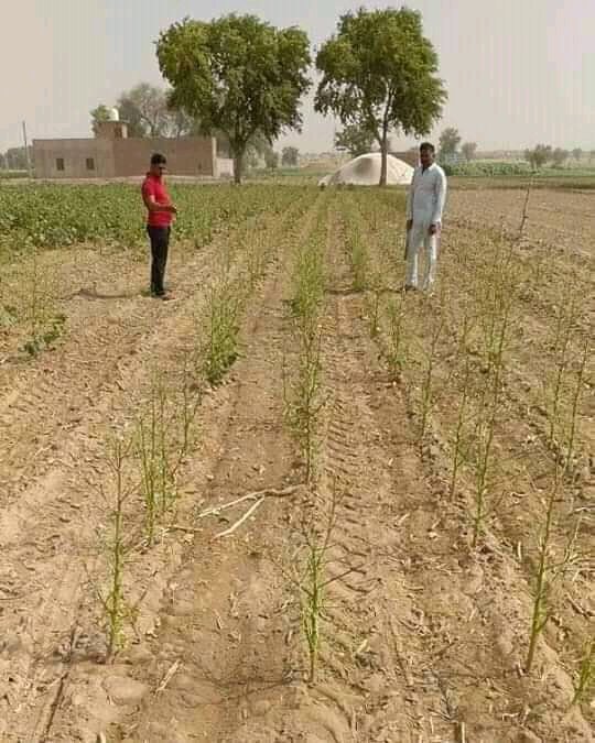BNagrana's tweet photo. #कृषिपर्यवेक्षकभर्ती_प्रथमपुण्यतिथि https://t.co/OANGWYm4U7