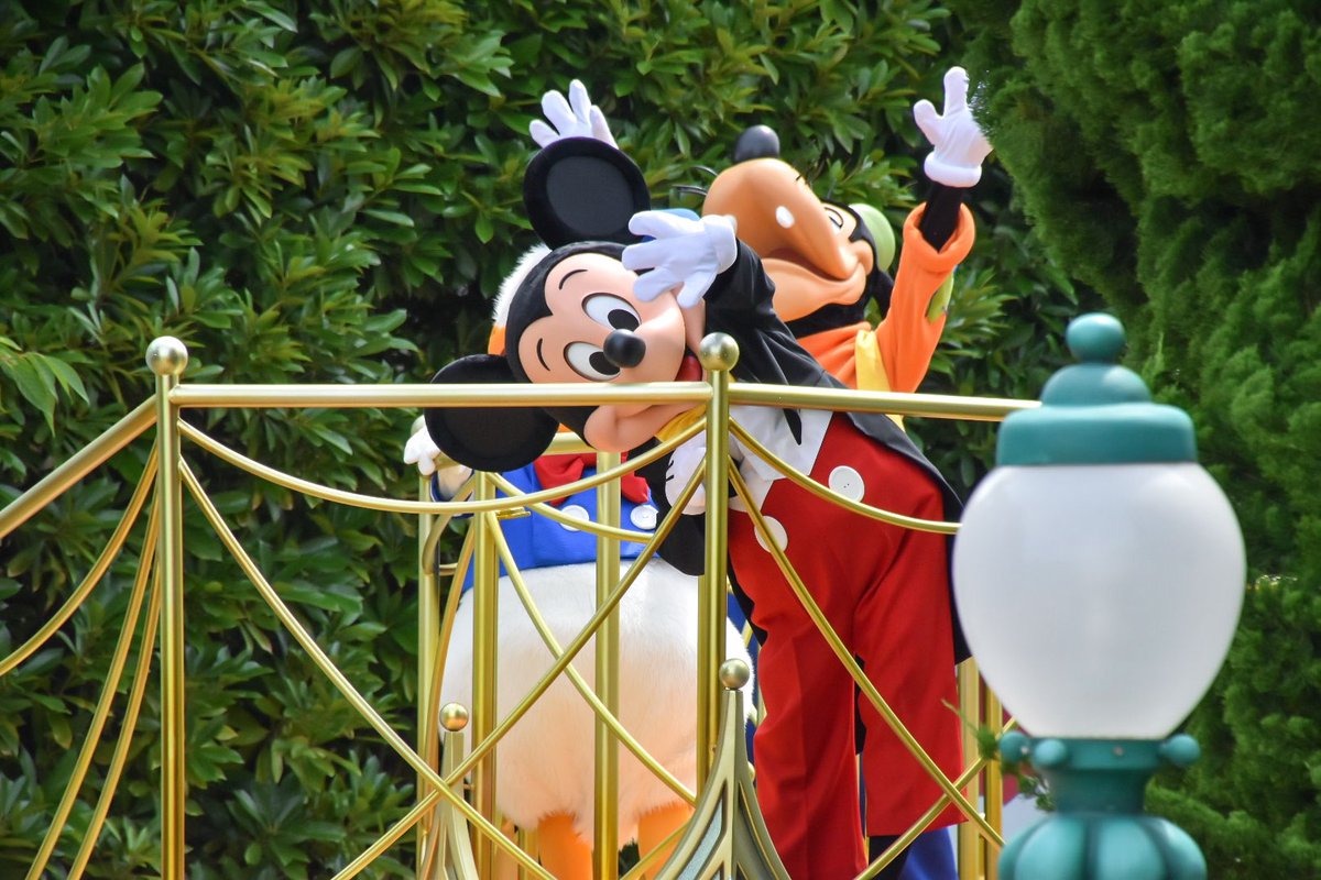 Ymouse07's tweet photo. 傾き加減がさいこうにかわいいミッキマ（ ῀ᢦ῀ ） https://t.co/qrFEtj3euS