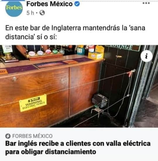 C_Lobato's tweet photo. #ToquesToques 🤪 | Ternuritas, si supieran que en México andando borrachos nos dan toques por diversión... ¡y hasta pagas por ello! 🤭 https://t.co/YgYxVBAIRi