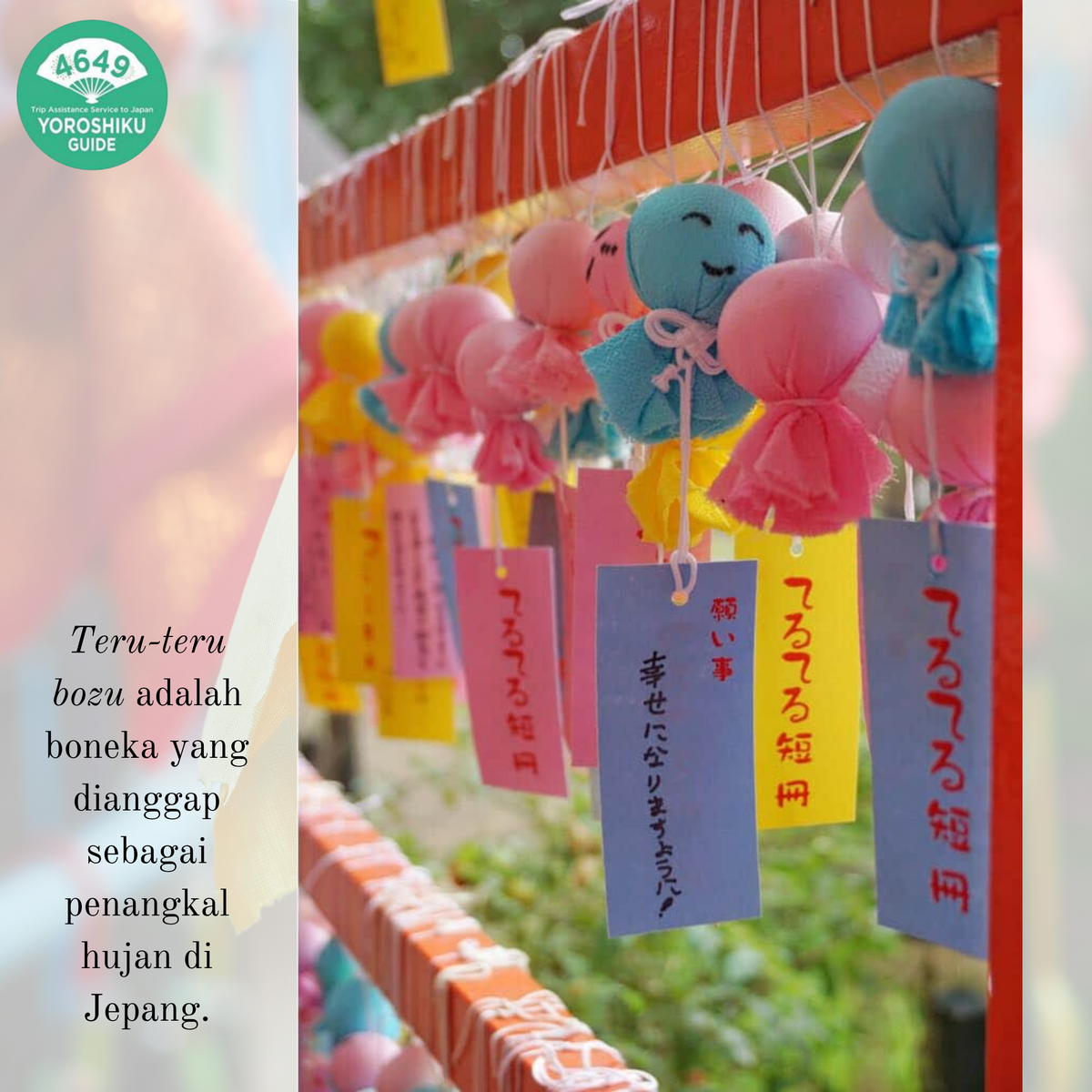4649_Guide's tweet photo. << Tanabata Teru Teru Tanzaku >>

Tanabata Teru-teru Tonneru adalah perayaan Tanabata dengan hiasan teru-teru bozu yang diadakan di Kuil Tanashi, Tokyo. https://t.co/QVRz9E2QOc