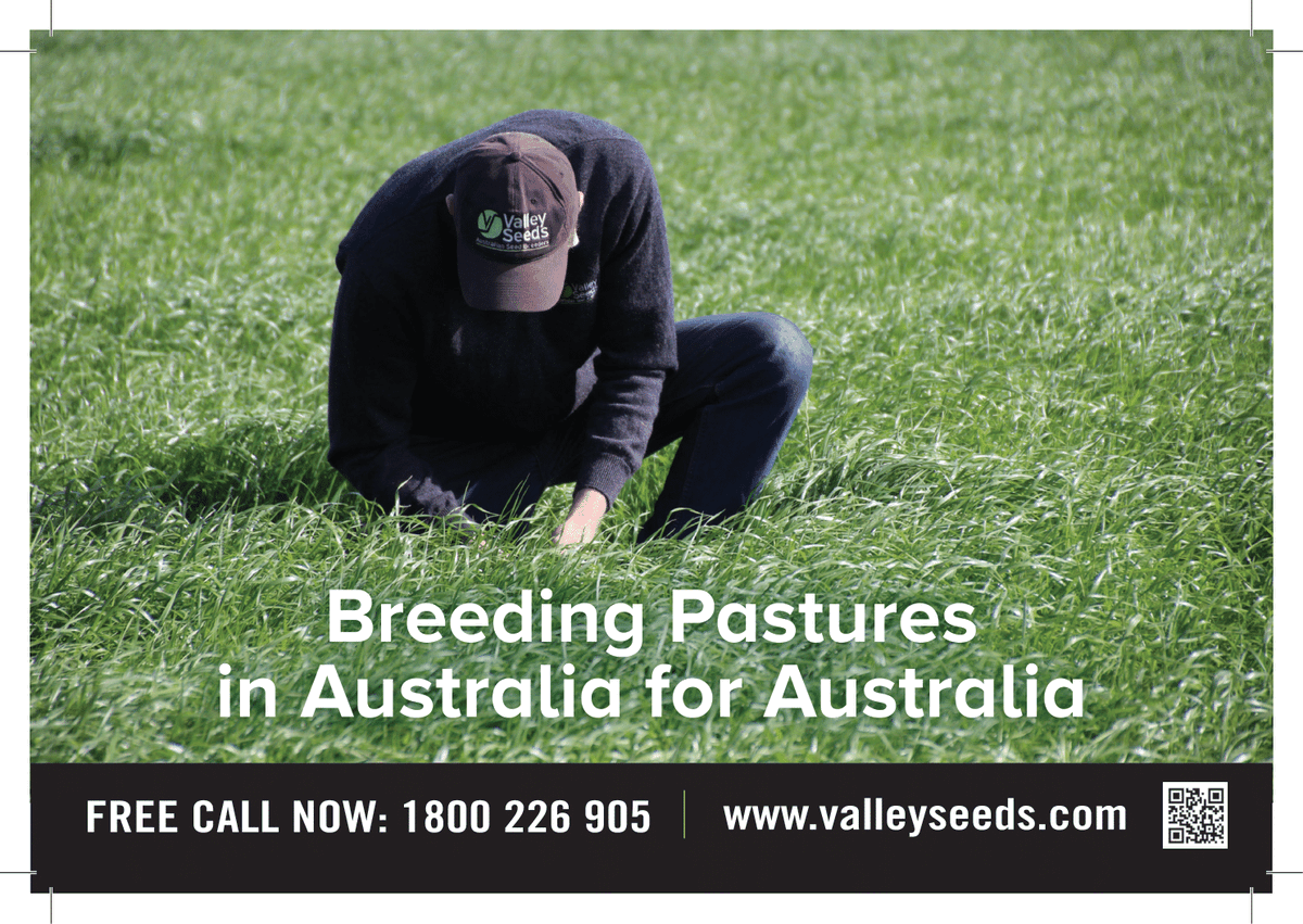 Valley Seeds are proud to be supporters of Session 1B 'Nuffield Scholar Presentations' of the Grassland Society of Southern Australia conference 'Growing with Grasslands'. 

Tune in tonight at 7:30pm AEST. 

To register: grasslands.org.au/events/annual-…

#growingwithgrasslands2020