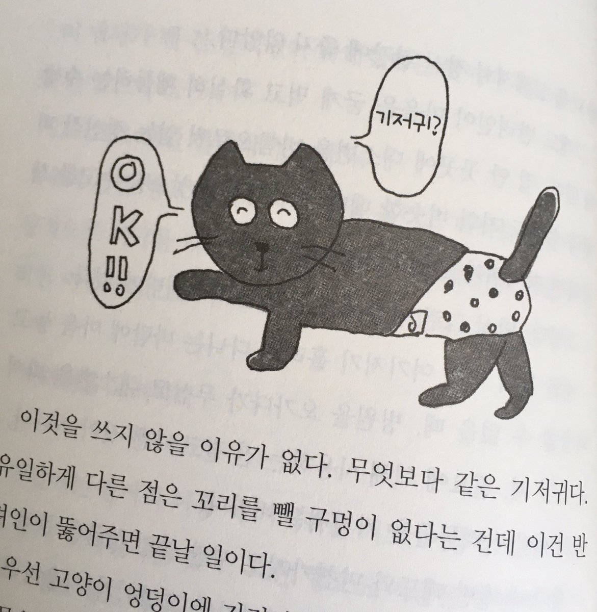 霜田あゆ美 斉藤ユカさんの 老猫と歩けば の韓国版が刊行された イラストの描き文字が韓国語になっているのを見て楽しんでいる 韓国のデザイナーさん 手間だったろうなぁ 今 まさに老猫生活まっしぐらのうちの花子さん うなづくとこいっぱいの本