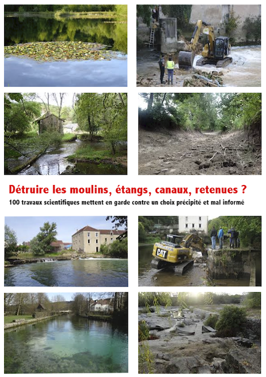 Hydrauxois tweet media